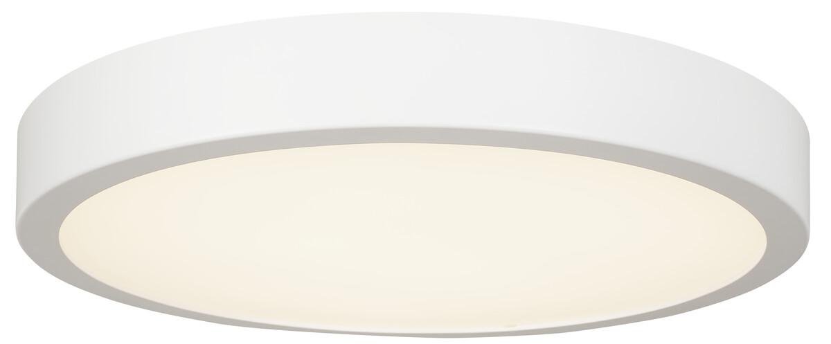Dimmable ceiling light