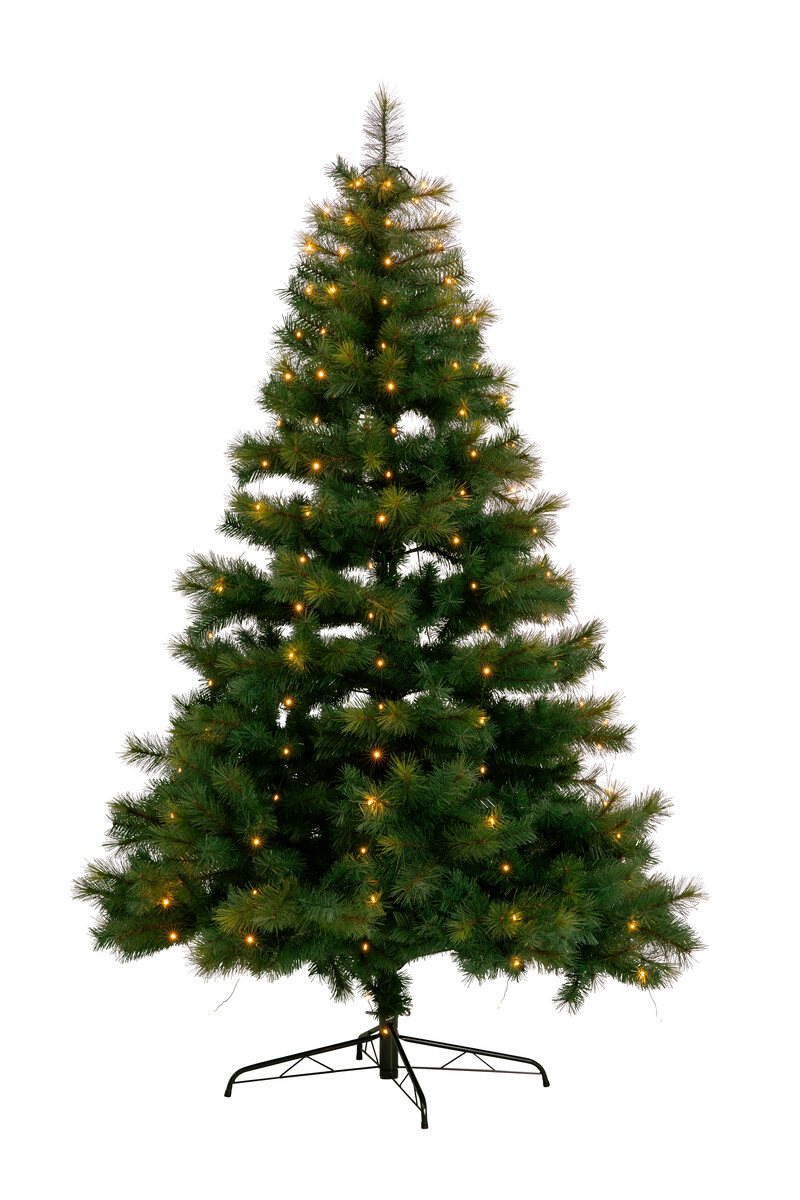 Christmas tree lights