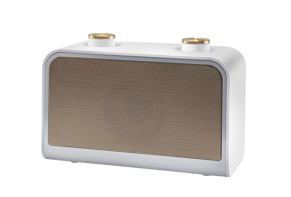 Speaker with FM radio