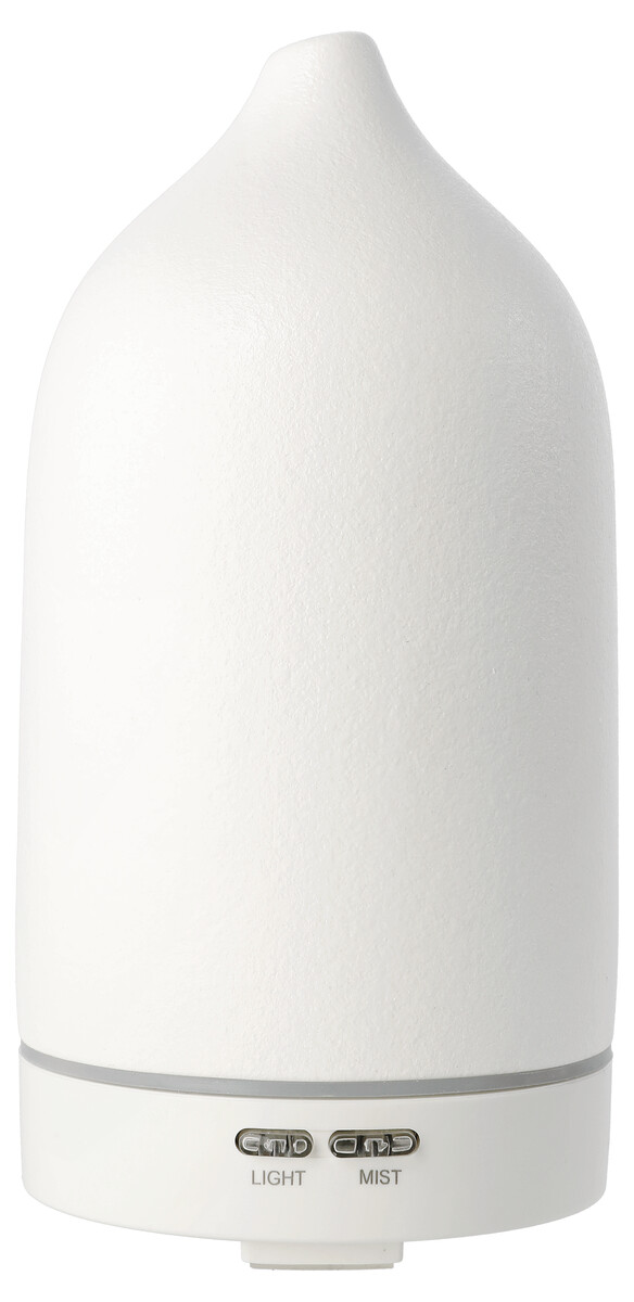Electric diffuser with lighting